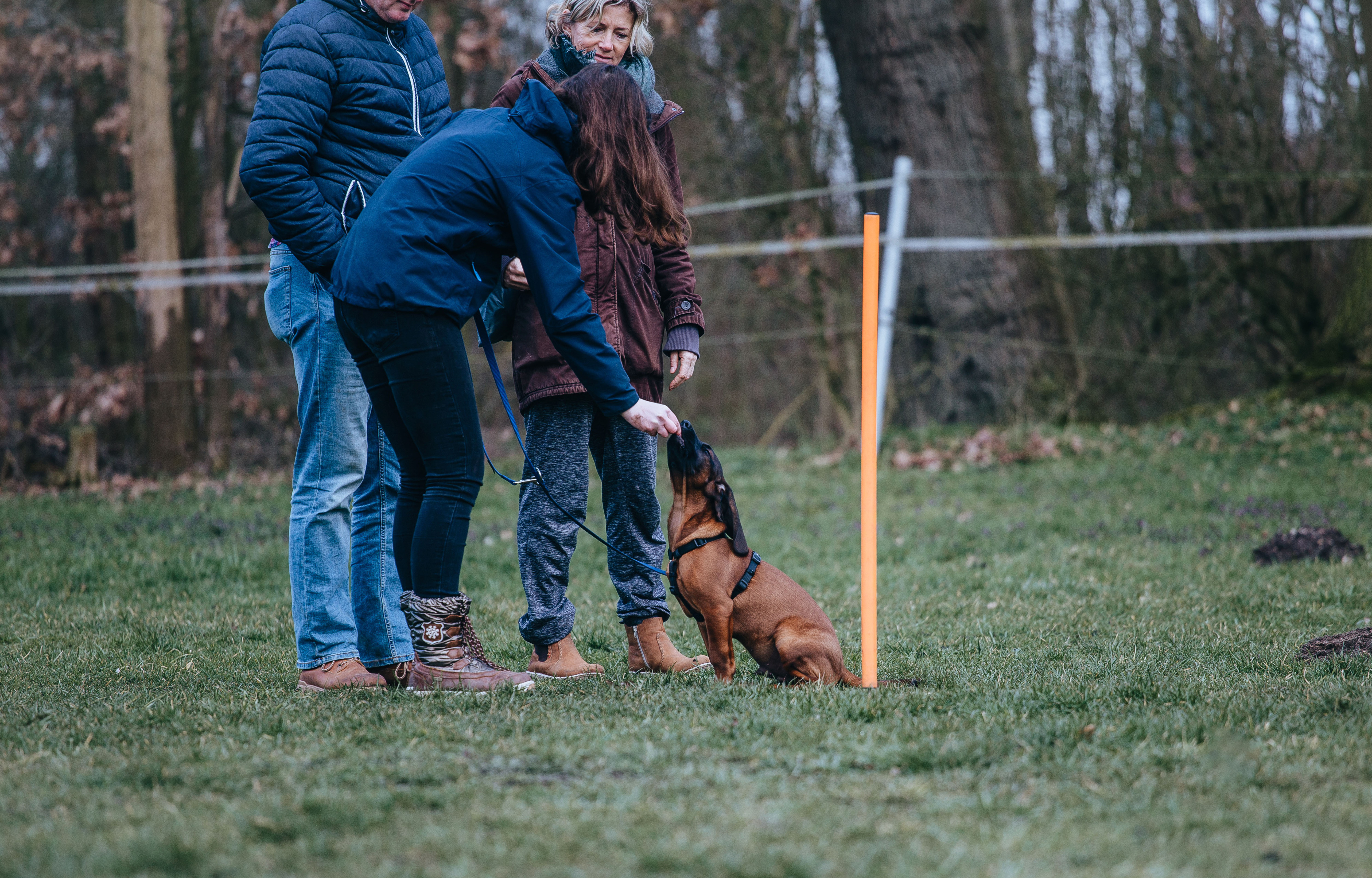 Hundesport — Trainingseindrücke